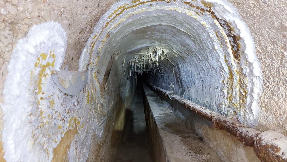 Diagnostic et expertise mycologique : Tunnel d&rsquo;adduction à Carpentras